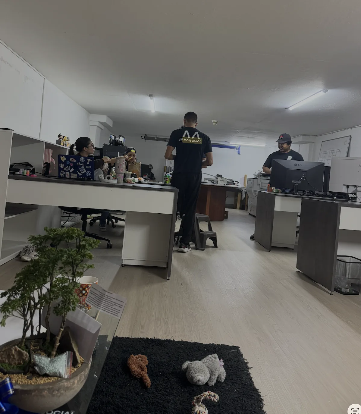 Equipo trabajando en la oficina de Massocial